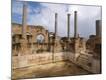 Premium Photographic Print