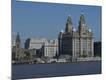Premium Photographic Print