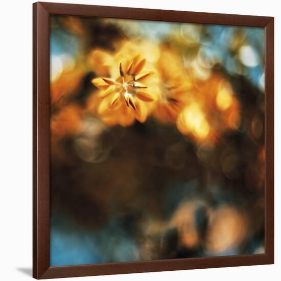 Etheral Floral-David Keochkerian-Framed Art Print