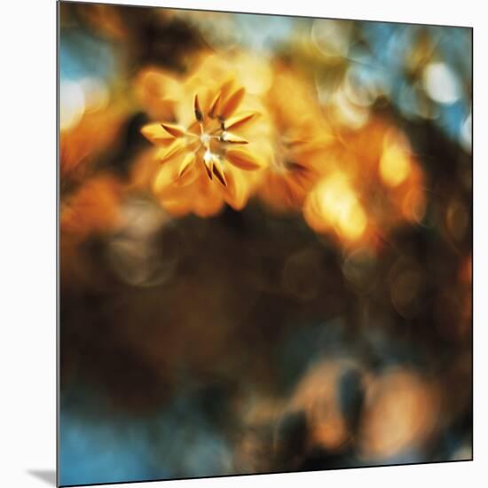 Etheral Floral-David Keochkerian-Mounted Art Print