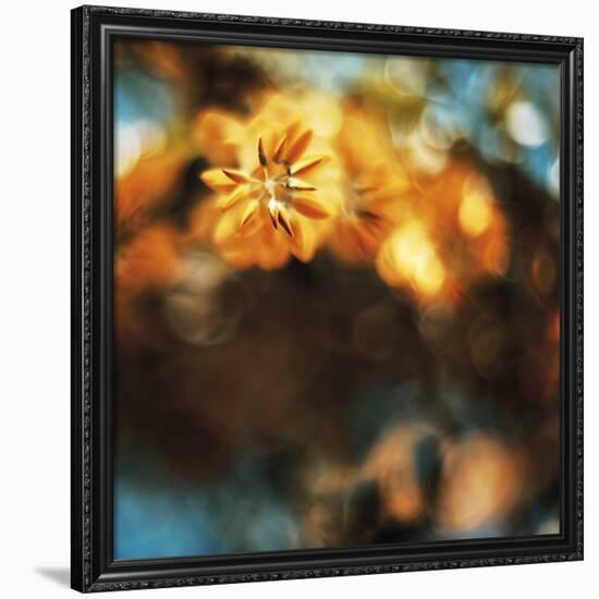 Etheral Floral-David Keochkerian-Framed Art Print