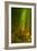 Ethereal Bamboo Forest, Maui, Hawaii-Vincent James-Framed Photographic Print