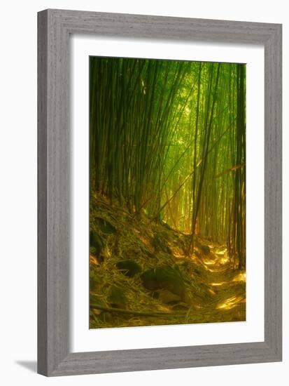 Ethereal Bamboo Forest, Maui, Hawaii-Vincent James-Framed Photographic Print