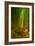 Ethereal Bamboo Forest, Maui, Hawaii-Vincent James-Framed Photographic Print