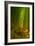Ethereal Bamboo Forest, Maui, Hawaii-Vincent James-Framed Photographic Print