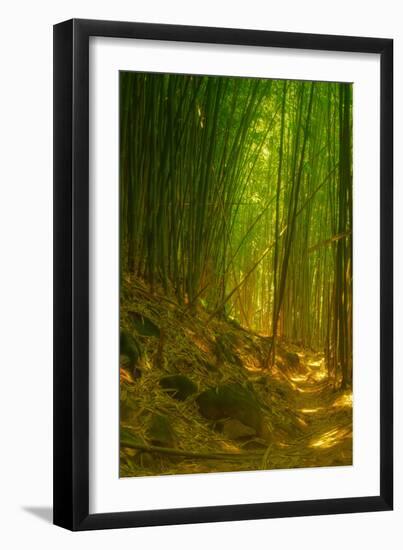 Ethereal Bamboo Forest, Maui, Hawaii-Vincent James-Framed Photographic Print