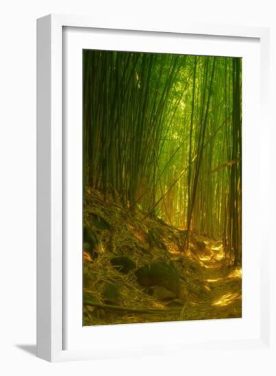 Ethereal Bamboo Forest, Maui, Hawaii-Vincent James-Framed Photographic Print