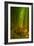 Ethereal Bamboo Forest, Maui, Hawaii-Vincent James-Framed Photographic Print