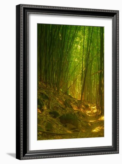 Ethereal Bamboo Forest, Maui, Hawaii-Vincent James-Framed Photographic Print