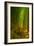 Ethereal Bamboo Forest, Maui, Hawaii-Vincent James-Framed Photographic Print