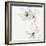 Ethereal Bloom - Prosper-Aurora Bell-Framed Giclee Print