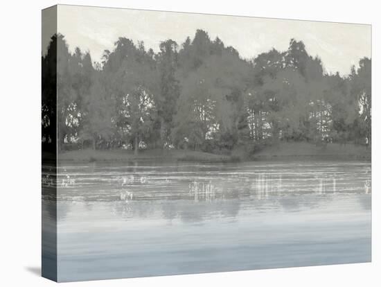 Ethereal Echo-Mark Chandon-Framed Stretched Canvas