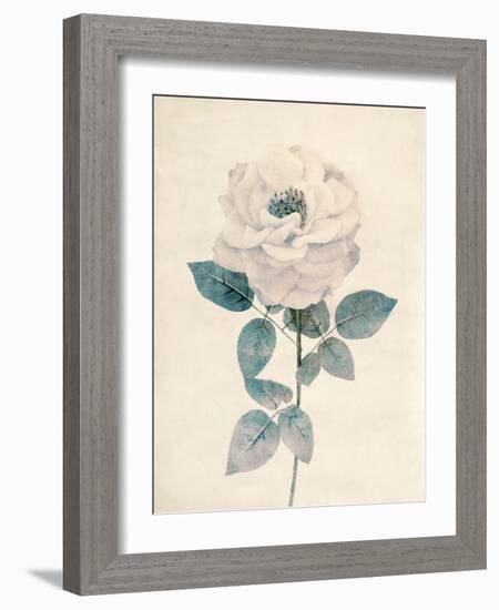 Ethereal Floral I-Collezione Botanica-Framed Giclee Print