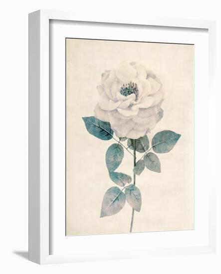 Ethereal Floral I-Collezione Botanica-Framed Giclee Print