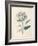 Ethereal Floral III-Collezione Botanica-Framed Giclee Print