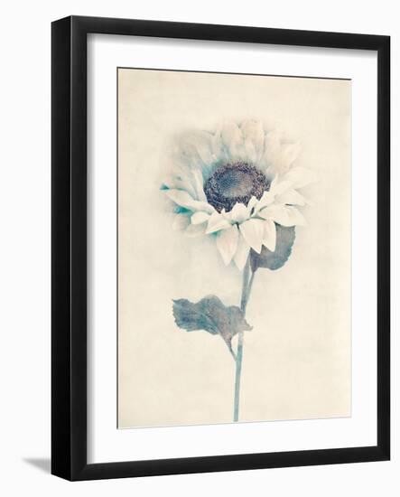 Ethereal Floral IV-Collezione Botanica-Framed Giclee Print