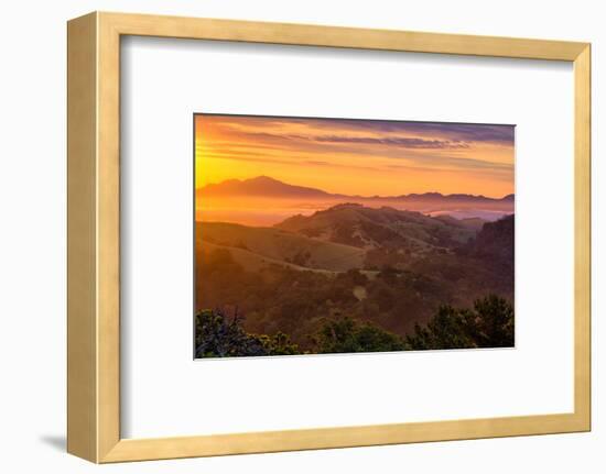 Ethereal Golden Sunrise Mount Diablo East Bay Oakland Bay Area-Vincent James-Framed Photographic Print