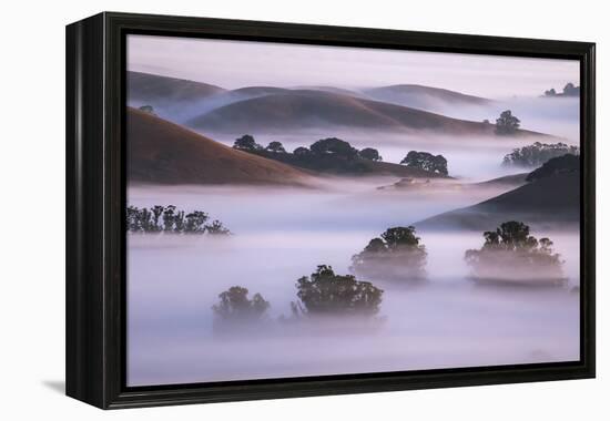 Ethereal Hills and Fog, Misty Otherworldy View at Petaluma Sonoma County-Vincent James-Framed Premier Image Canvas