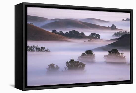 Ethereal Hills and Fog, Misty Otherworldy View at Petaluma Sonoma County-Vincent James-Framed Premier Image Canvas