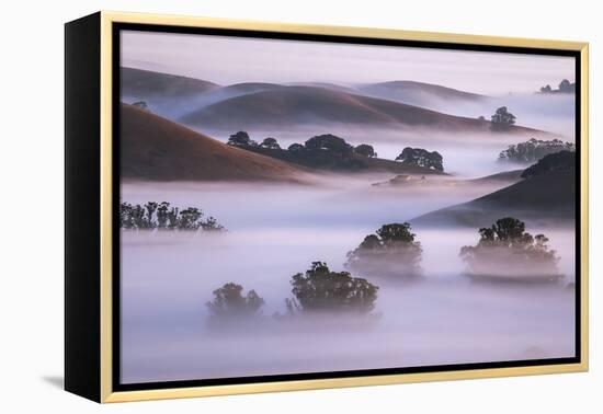 Ethereal Hills and Fog, Misty Otherworldy View at Petaluma Sonoma County-Vincent James-Framed Premier Image Canvas
