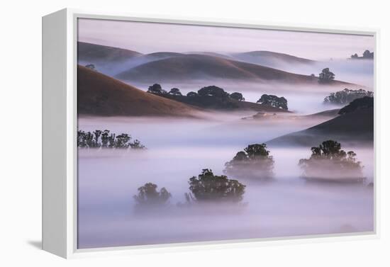 Ethereal Hills and Fog, Misty Otherworldy View at Petaluma Sonoma County-Vincent James-Framed Premier Image Canvas