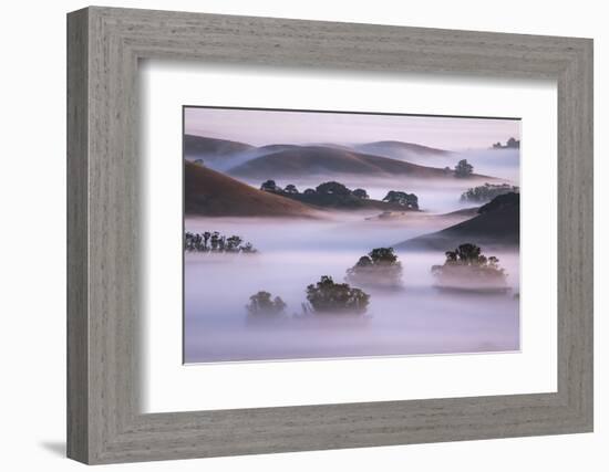 Ethereal Hills and Fog, Misty Otherworldy View at Petaluma Sonoma County-Vincent James-Framed Photographic Print