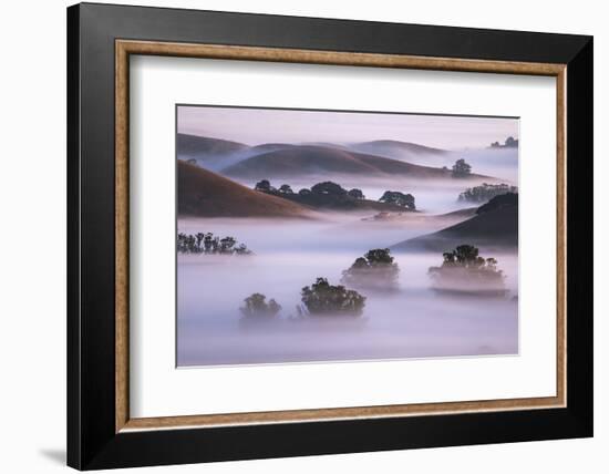 Ethereal Hills and Fog, Misty Otherworldy View at Petaluma Sonoma County-Vincent James-Framed Photographic Print