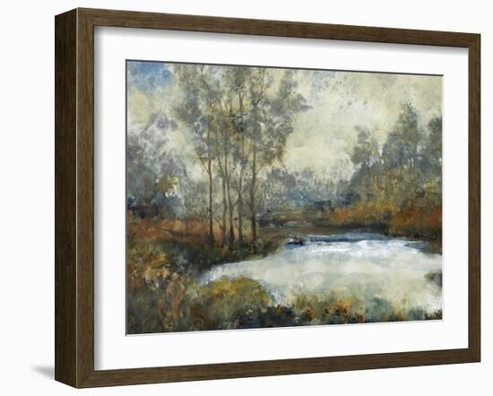 Ethereal Light I-Tim O'toole-Framed Art Print