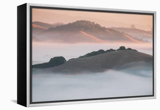 Ethereal Morning, Petaluma Marin County, Bay Area-Vincent James-Framed Premier Image Canvas