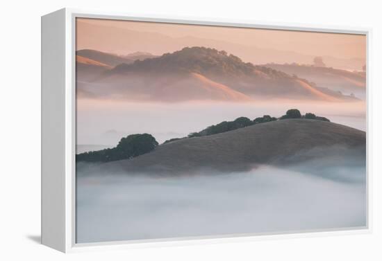 Ethereal Morning, Petaluma Marin County, Bay Area-Vincent James-Framed Premier Image Canvas