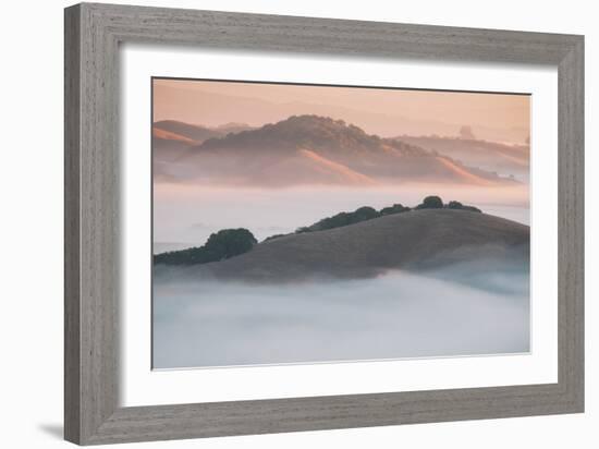 Ethereal Morning, Petaluma Marin County, Bay Area-Vincent James-Framed Photographic Print