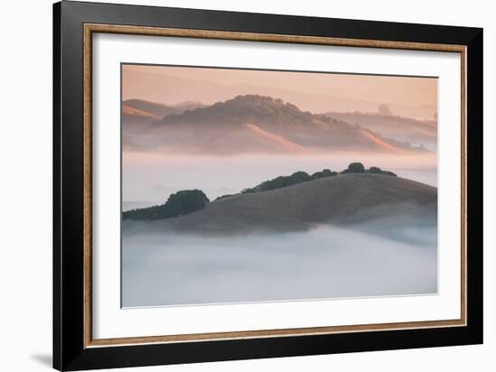 Ethereal Morning, Petaluma Marin County, Bay Area-Vincent James-Framed Photographic Print