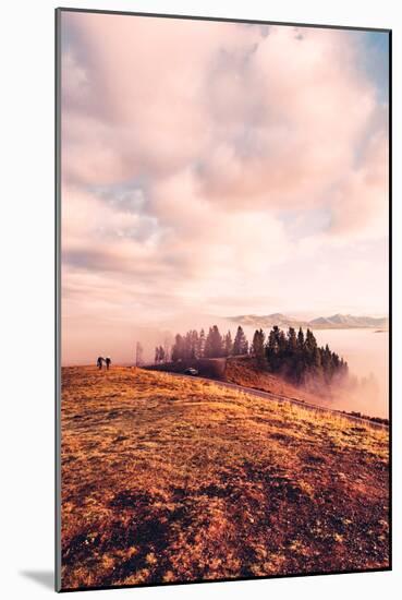 Ethereal Morning Walk, Hayden Valley Wyoming, Yellowstone National Park-Vincent James-Mounted Photographic Print