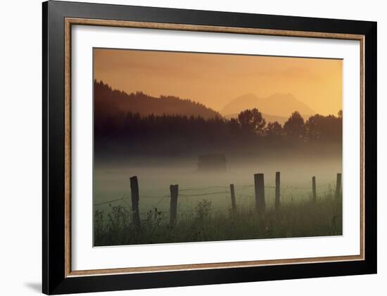 Ethereal Mount Rainier beyond the misty Nisqually Valley near Ashford, Washington-Art Wolfe-Framed Art Print