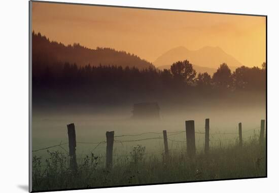 Ethereal Mount Rainier beyond the misty Nisqually Valley near Ashford, Washington-Art Wolfe-Mounted Art Print