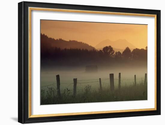 Ethereal Mount Rainier beyond the misty Nisqually Valley near Ashford, Washington-Art Wolfe-Framed Art Print