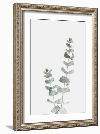 Ethereal Nature - Prosper-Irene Suchocki-Framed Giclee Print