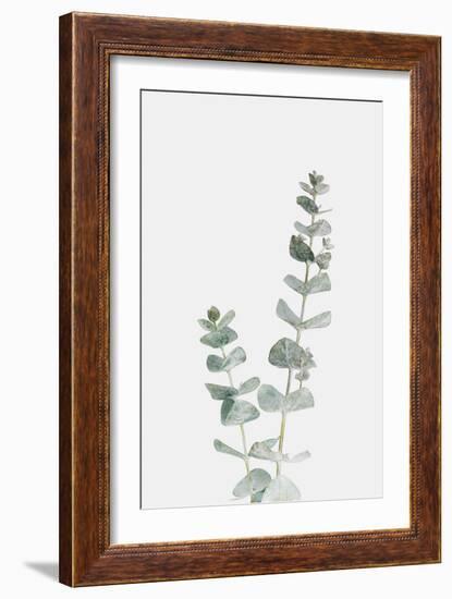 Ethereal Nature - Prosper-Irene Suchocki-Framed Giclee Print