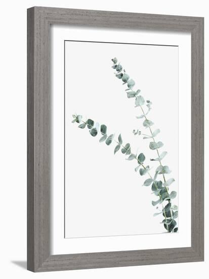 Ethereal Nature - Shoot-Irene Suchocki-Framed Giclee Print