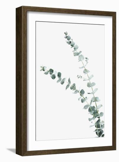 Ethereal Nature - Shoot-Irene Suchocki-Framed Giclee Print