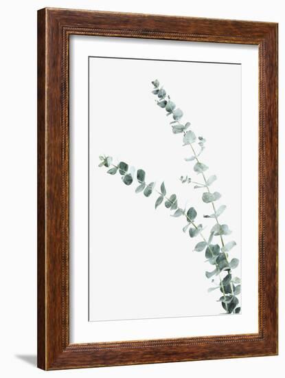 Ethereal Nature - Shoot-Irene Suchocki-Framed Giclee Print