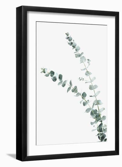 Ethereal Nature - Shoot-Irene Suchocki-Framed Giclee Print