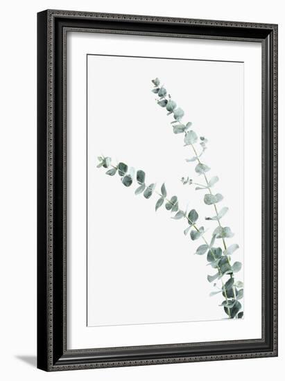 Ethereal Nature - Shoot-Irene Suchocki-Framed Giclee Print