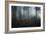 Ethereal Nature-Andreas Stridsberg-Framed Giclee Print