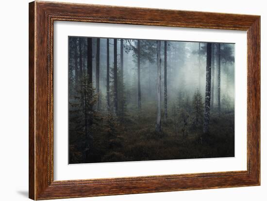 Ethereal Nature-Andreas Stridsberg-Framed Giclee Print