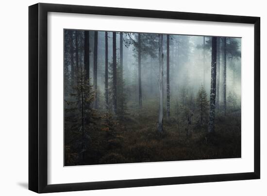 Ethereal Nature-Andreas Stridsberg-Framed Giclee Print