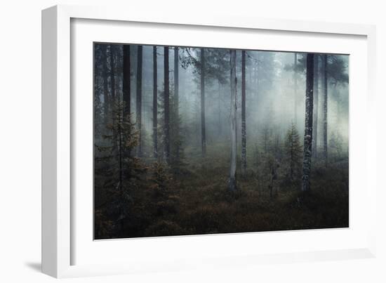 Ethereal Nature-Andreas Stridsberg-Framed Giclee Print