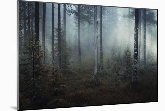 Ethereal Nature-Andreas Stridsberg-Mounted Giclee Print