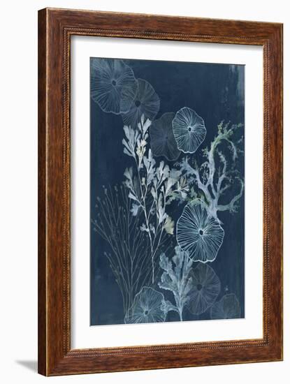 Ethereal Sea Treasures-Aimee Wilson-Framed Art Print