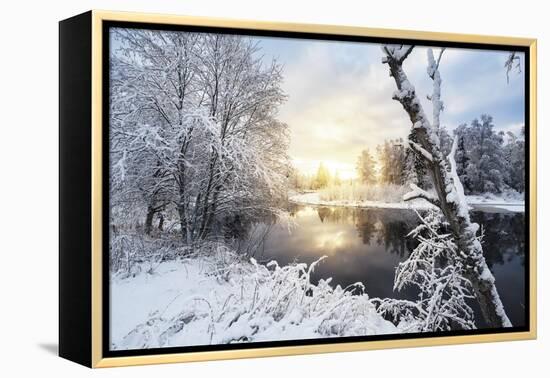 Ethereal Snow-Andreas Stridsberg-Framed Stretched Canvas